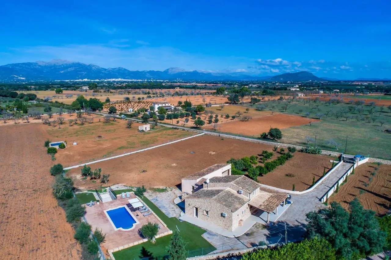 Ideal Property Mallorca - Brivo location
